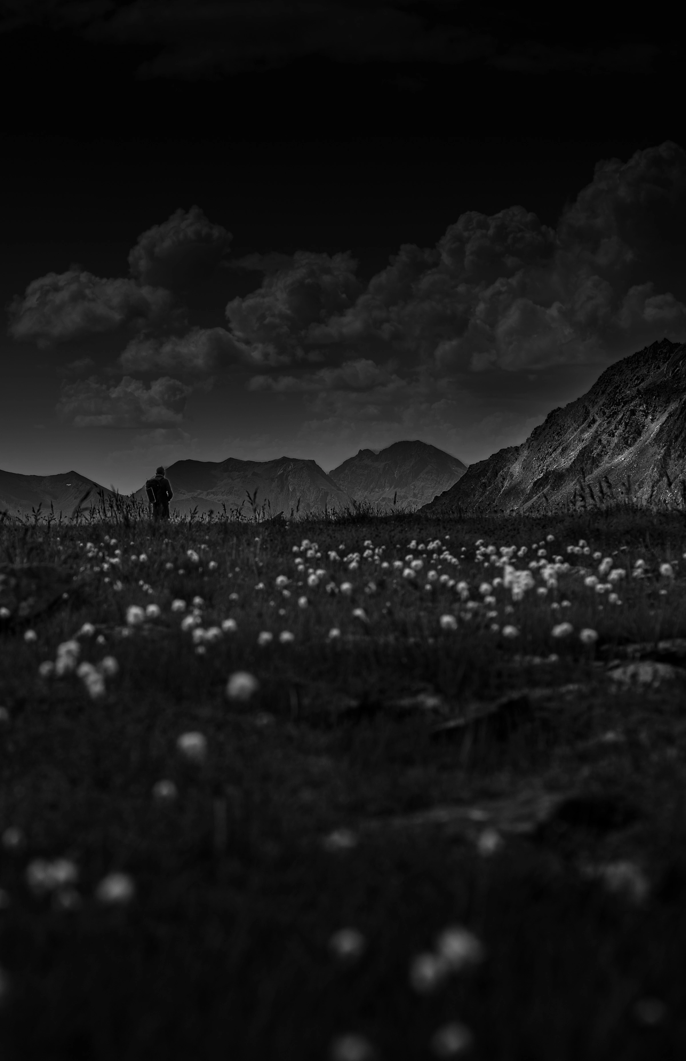 Montagne, noir et blanc, Alpes